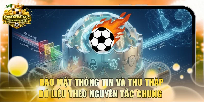 Bảo mật thông tin và thu thập dữ liệu theo nguyên tắc chung 