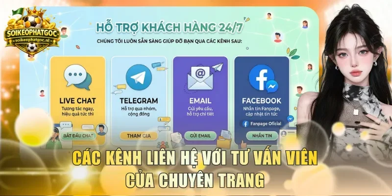 Các kênh liên hệ với tư vấn viên của chuyên trang