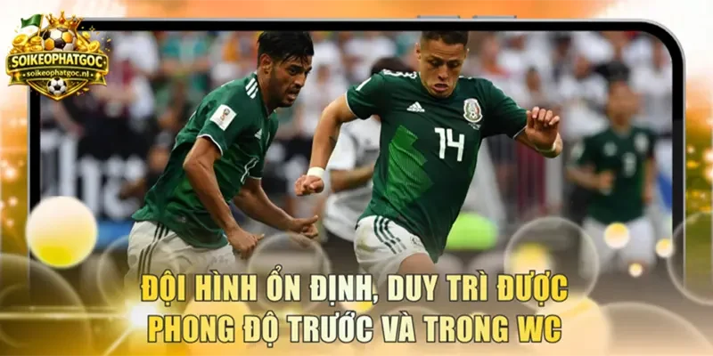 Đội hình ổn định, duy trì được phong độ trước và trong WC