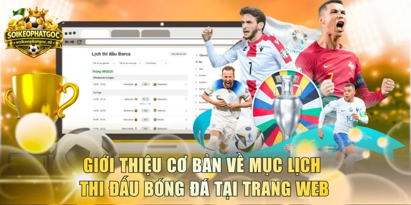 Giới thiệu cơ bản về mục lịch thi đấu bóng đá tại trang web