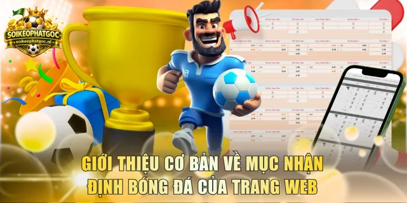 Giới thiệu cơ bản về mục nhận định bóng đá của trang web