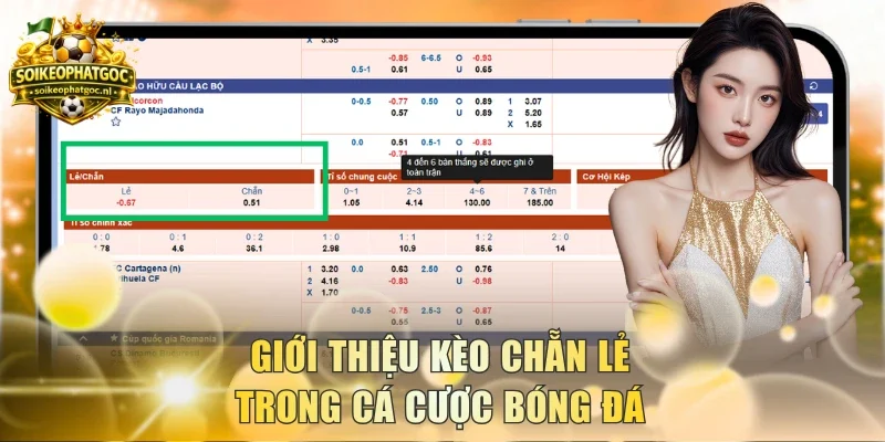 Giới thiệu kèo chẵn lẻ trong cá cược bóng đá