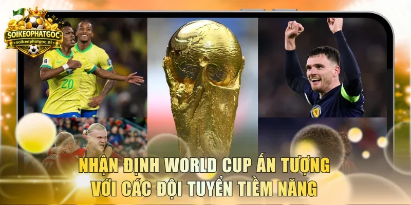 Nhận định World Cup ấn tượng với các đội tuyển tiềm năng