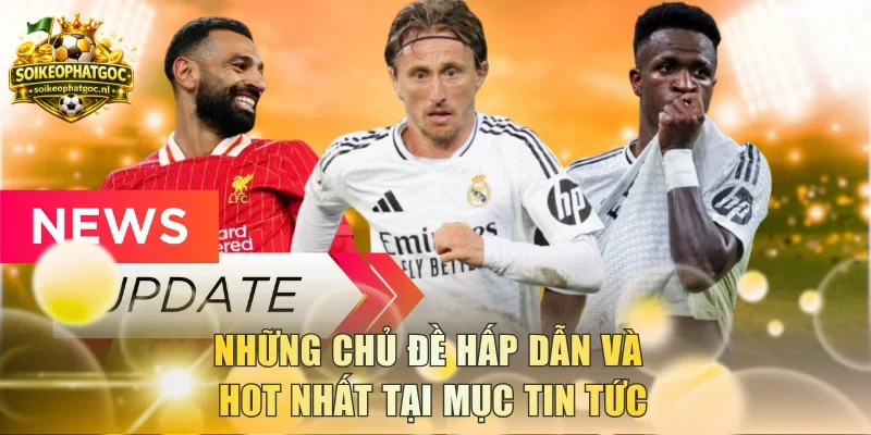 Những chủ đề hấp dẫn và hot nhất tại mục tin tức