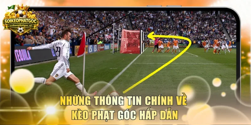 Những thông tin chính về kèo phạt góc hấp dẫn