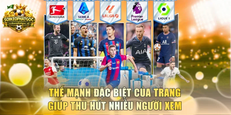Thế mạnh đặc biệt của trang giúp thu hút nhiều người xem kqbd