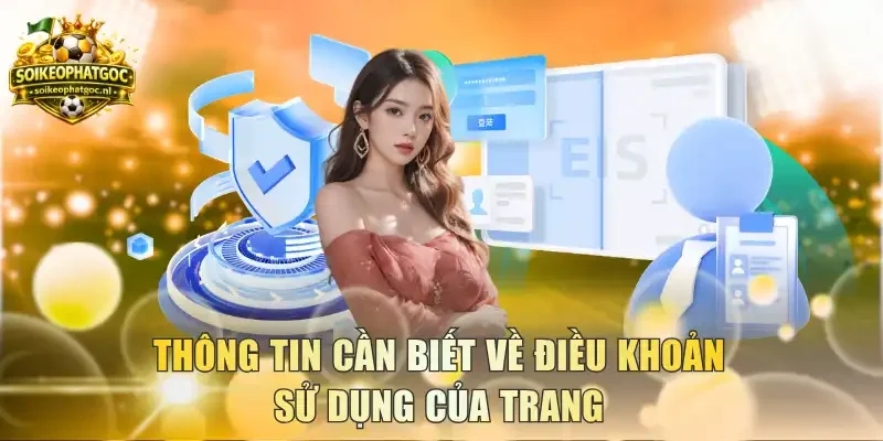 Thông tin cần biết về điều khoản sử dụng của trang