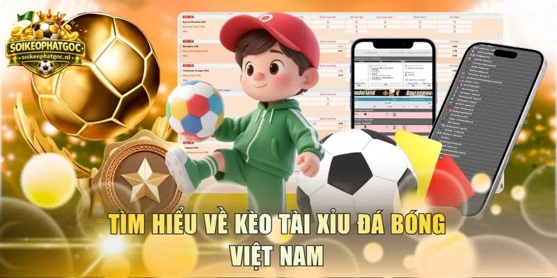 Tìm hiểu kèo Tài Xỉu đá bóng Việt Nam